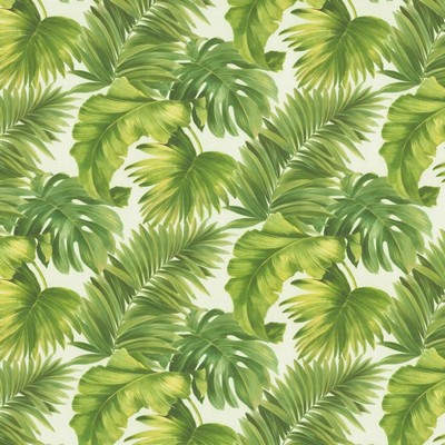 Kasmir Keanu Palm 110 Green in 1453 Green Polyester  Blend Fire Rated Fabric Heavy Duty CA 117  Tropical  Vine and Flower   Fabric